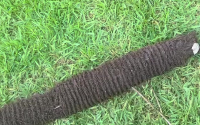 What’s Hiding In Your Outdoor Drains?