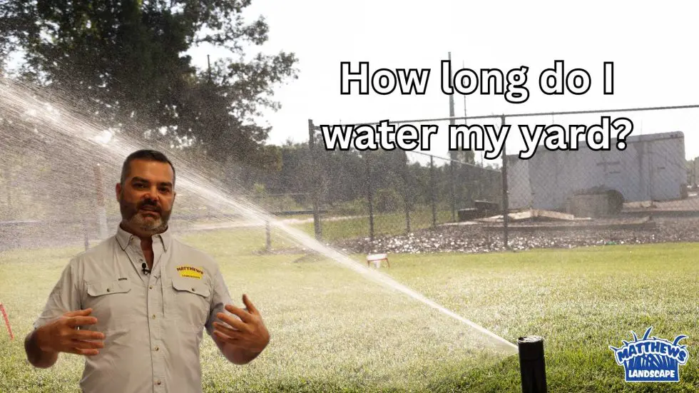 Summer Watering Tips: How Long Do I Water My Yard?