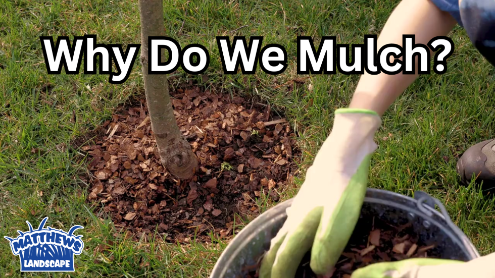 Why Do We Mulch?