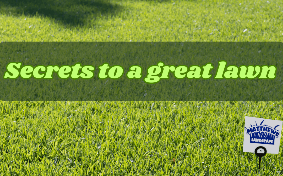 Secrets to a Healthy Lawn