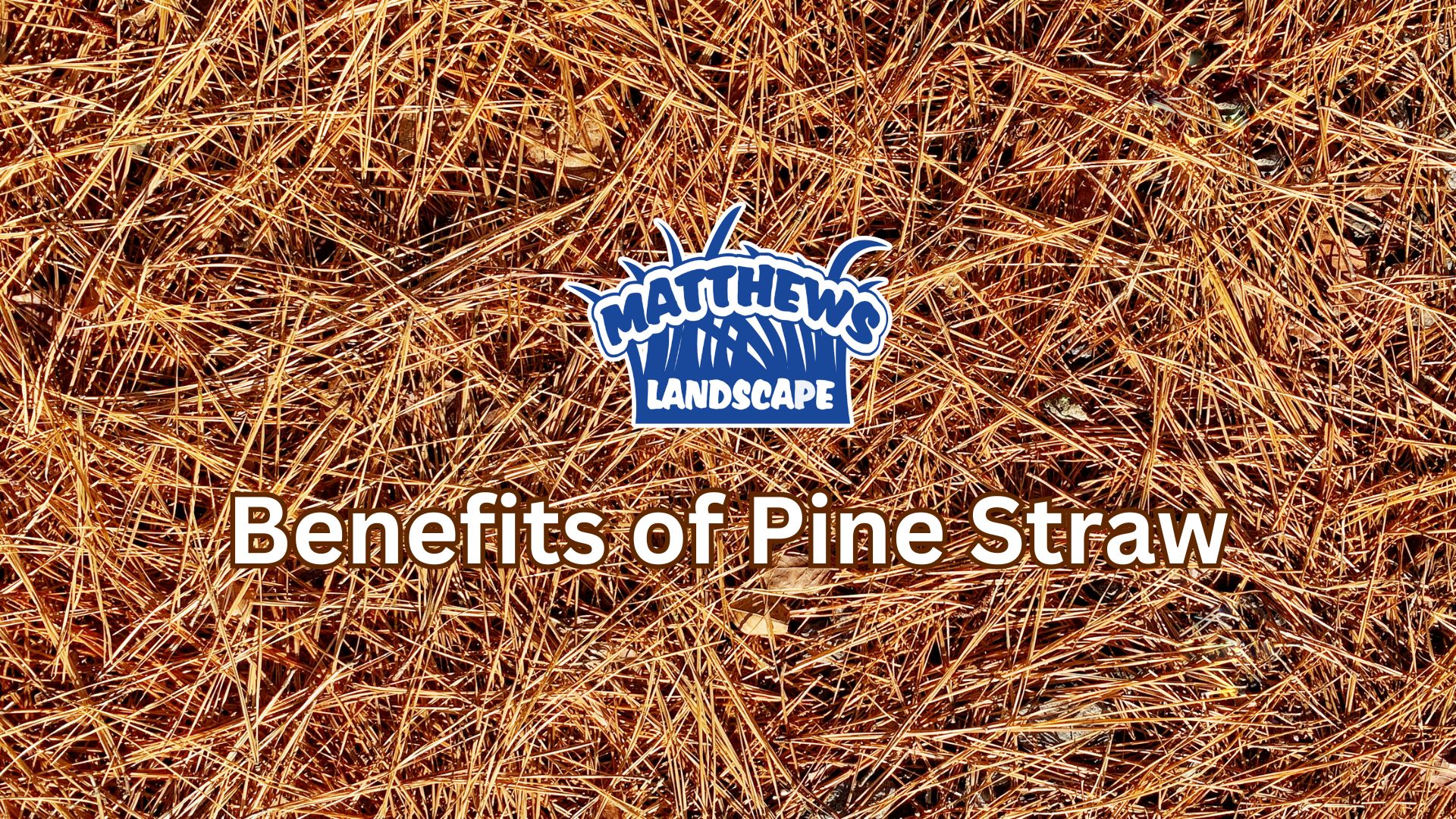 Benefits of Pine Straw