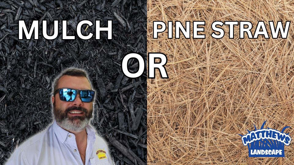 Mulch vs Pine straw mulch or pine straw