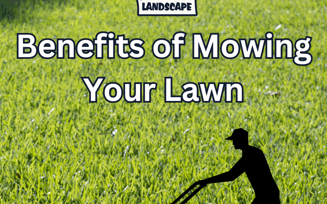 Benefits of Mowing Your Lawn