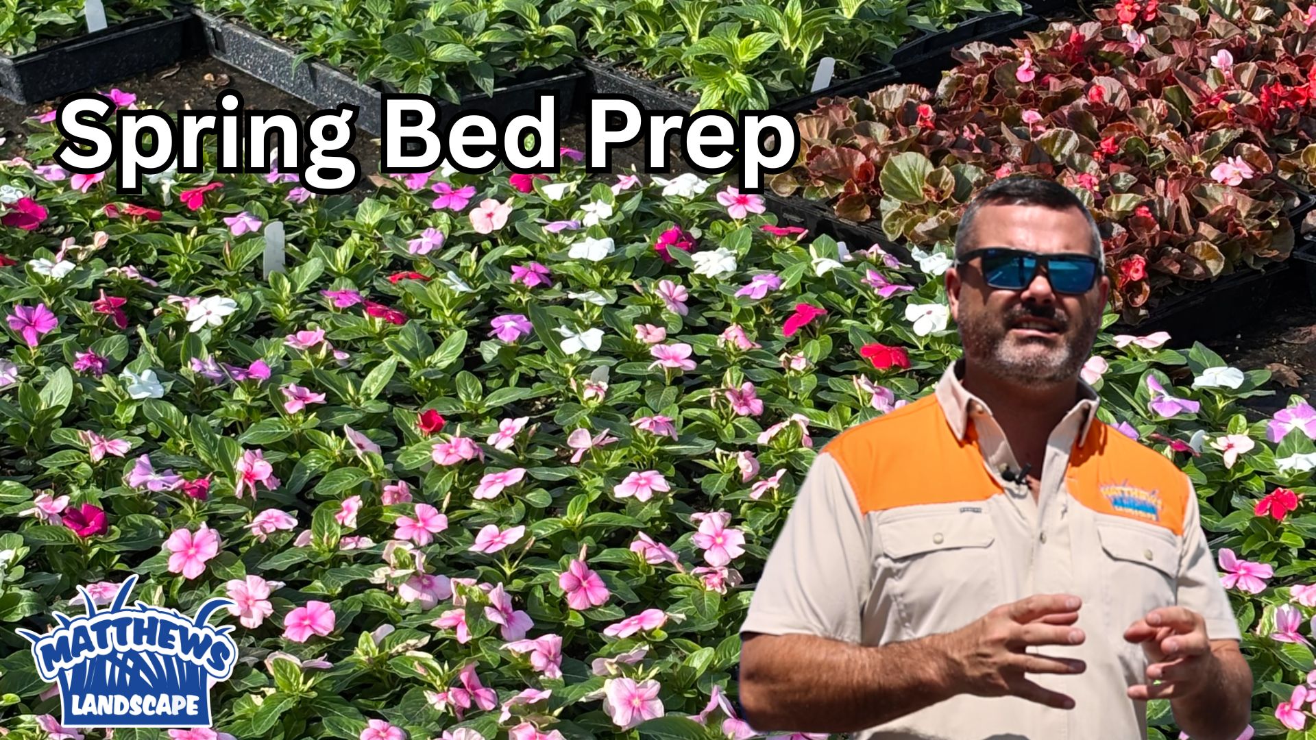 Spring flower bed prep Photo of flowers with text "Spring bed prep"