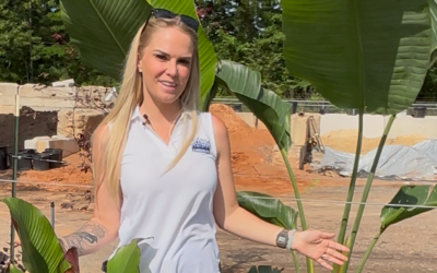 Consider Adding Tropicals to Your Landscape