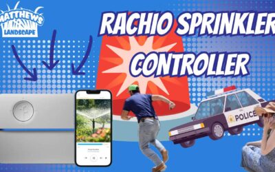 Sprinkler Worries Ruined My Vacation