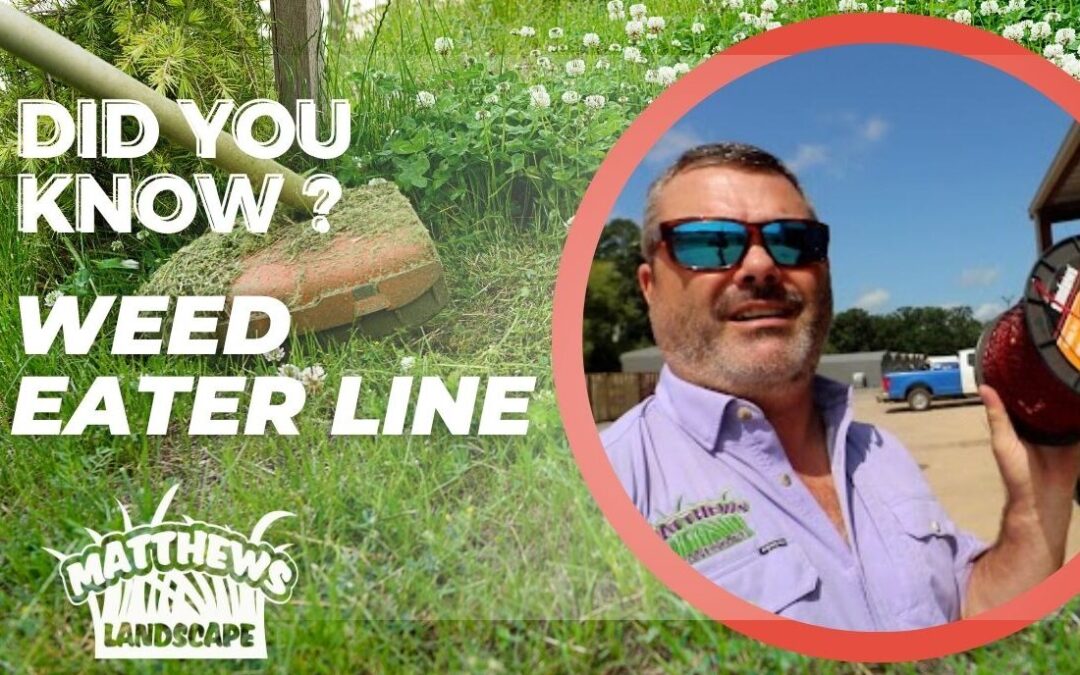 Did You Know? Weed Eater Line