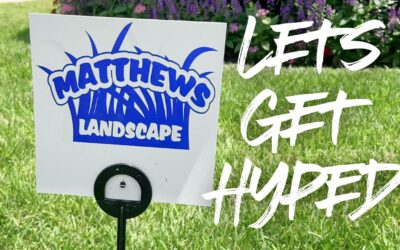 Hyped About Matthews?