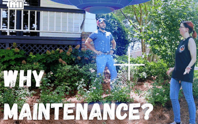 Why Do I Need Landscape Maintenance?