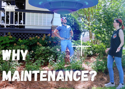 Why Do I Need Landscape Maintenance?