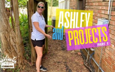 What is a Project? pt1