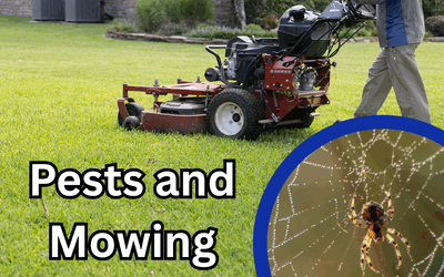 Pests and Mowing