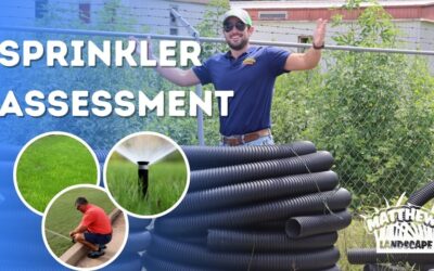 Sprinkler System Assessments